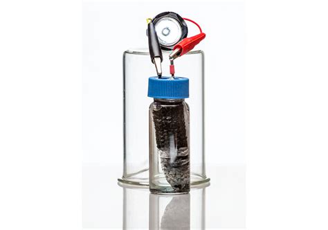 Biochar per Batteria di Nuova Generazione: Un Materiale Verde e Riciclabile per il Futuro dell'Energia!